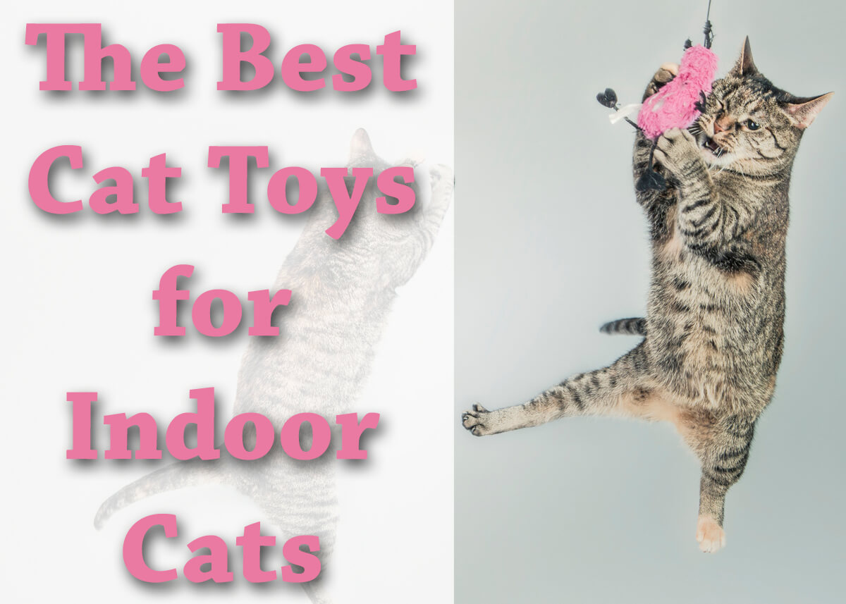 best toys for cats 2018