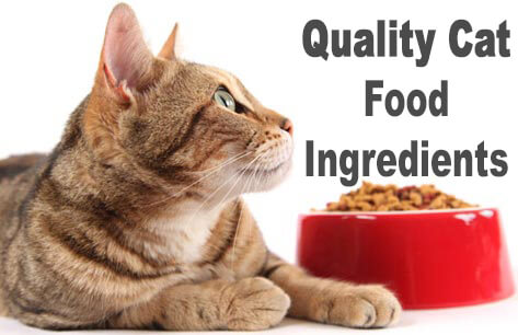 Quality Cat Food Ingredients | Cat Mania