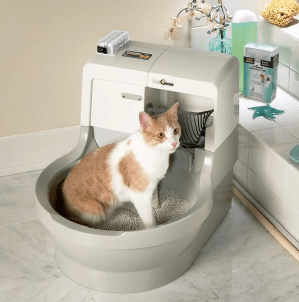 CatGenie Cat Box Review | Cat Mania