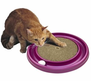 The Best Cat Toys for Indoor Cats | Cat Mania | For Cat Lovers