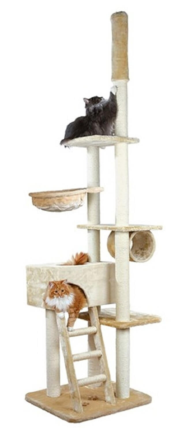 The 10 Best Cat Trees 2023 Cat Mania