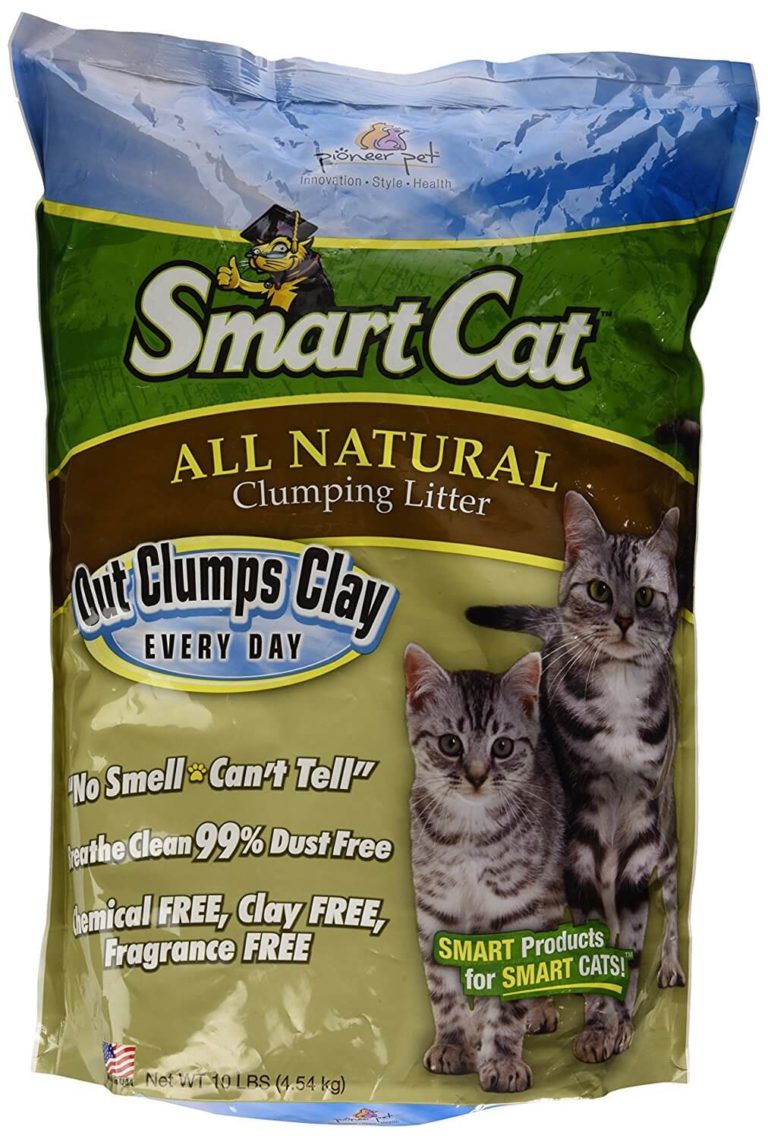 The 6 Best Natural Cat Litters In 2024 Cat Mania