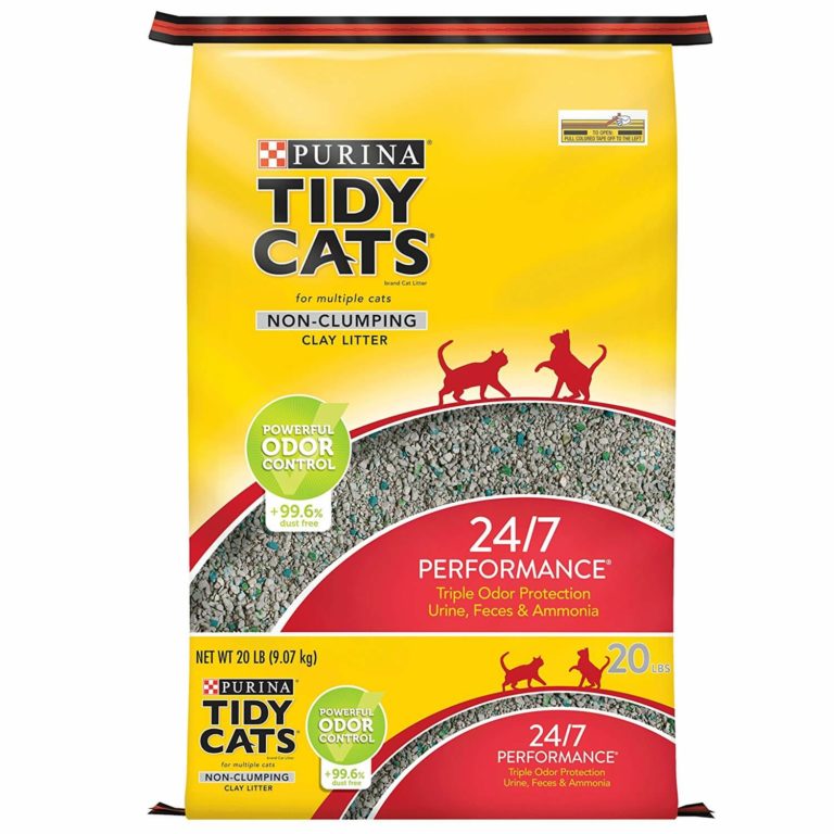 The 5 Best NonClumping Cat Litters 2024 Cat Mania