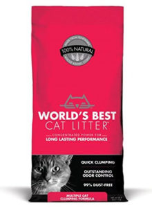 The Best Cat Litter for Multiple Cats