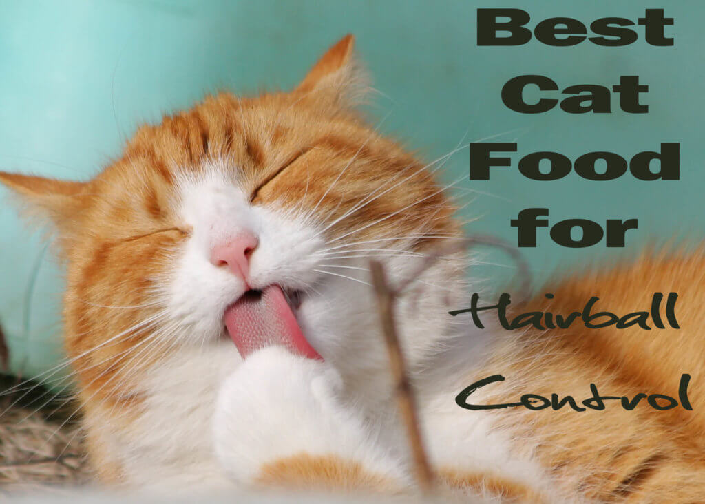 best cat food for hairballs and vomiting