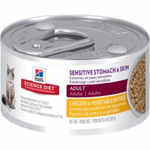 best cat food for healthy skin and coat