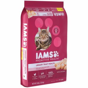 special cat food for urinary problems