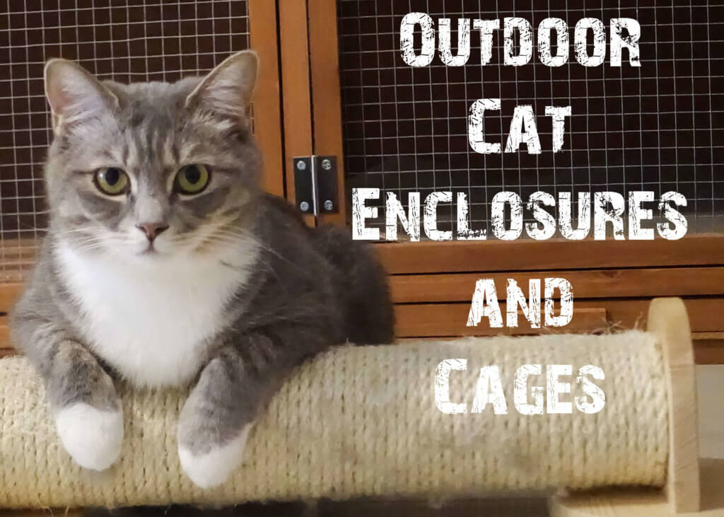 Outdoor Cat Enclosures and Cages