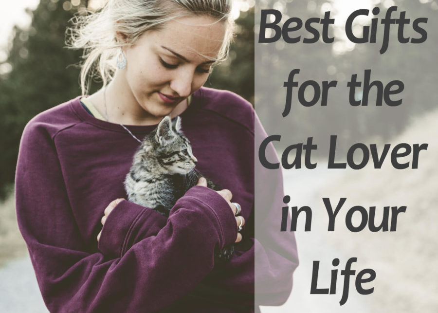 Best Gifts for the Cat Lover in Your Life