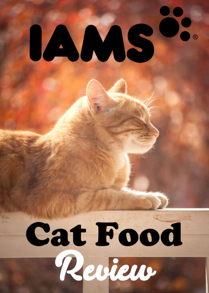 Iams Wet Cat Food Recall
