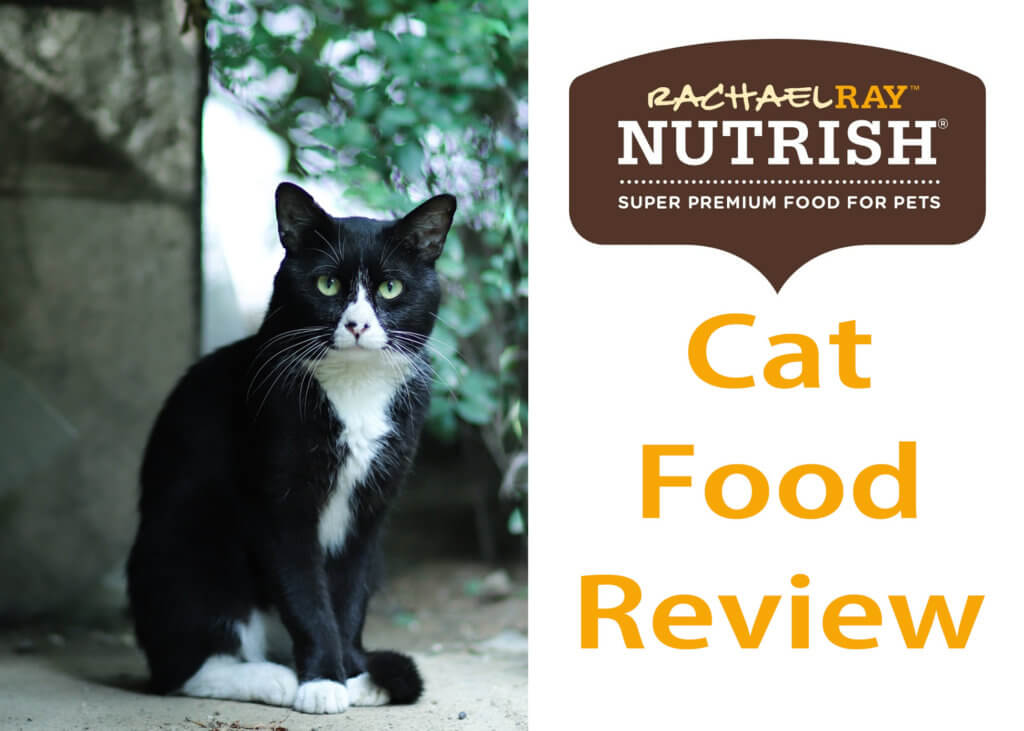 Rachael Ray Cat Food Review