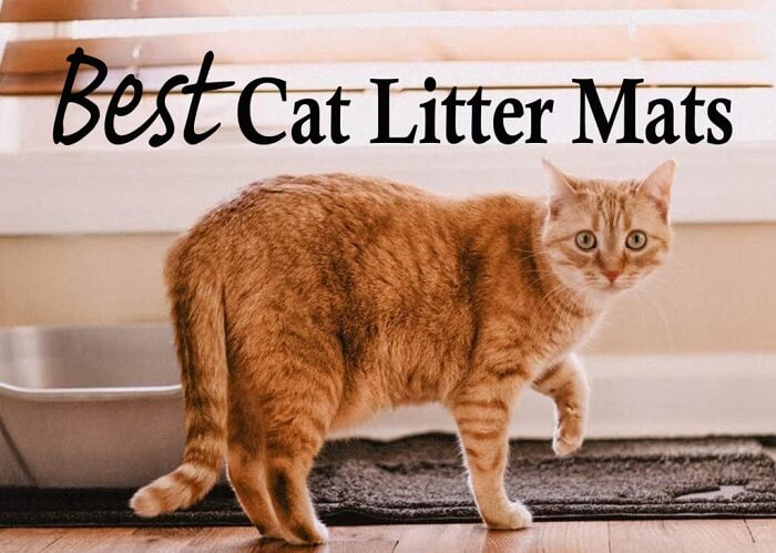 anti tracking cat litter mat