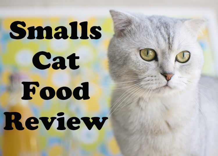 Smalls Cat Food Review 2021 Purchased & Tested Cat Mania