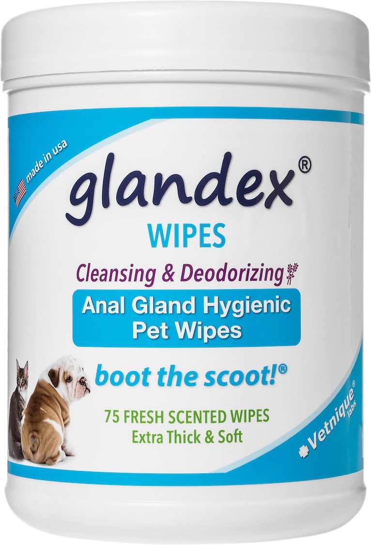 The 15 Best Cat Wipes According To Real Cats 2023 Cat Mania