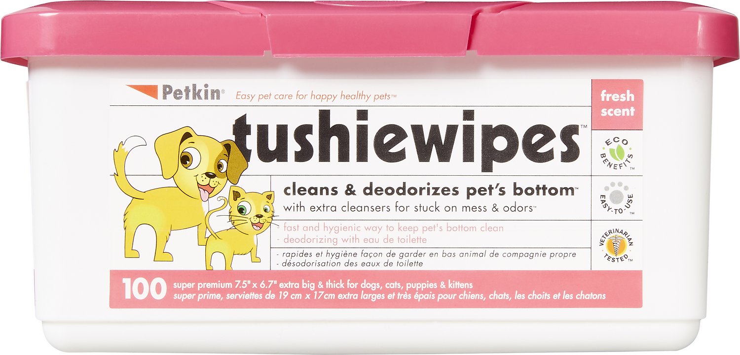 The 15 Best Cat Wipes According To Real Cats 2023 Cat Mania