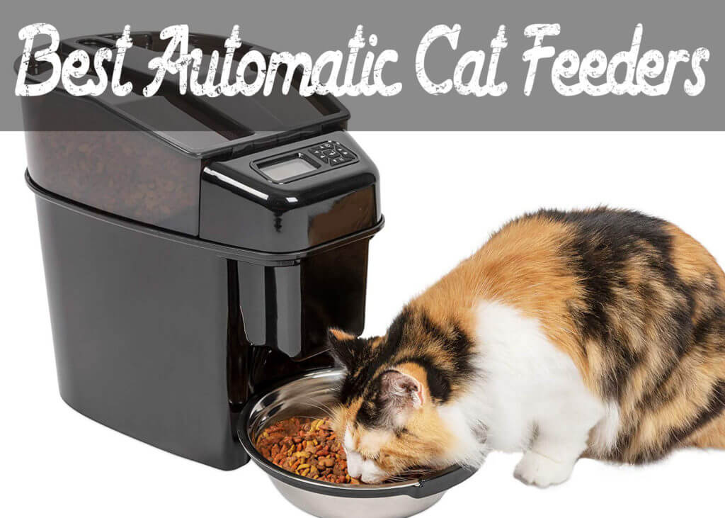 wireless whiskers automatic pet feeder