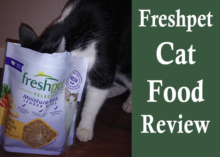 Freshpet Cat Food Review [PERFECT Cat Food?] Cat Mania