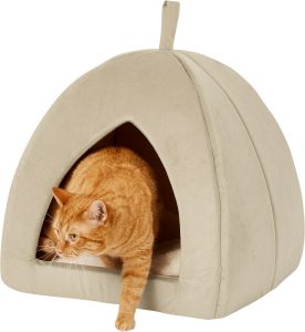Best Cat Beds for Large Cats