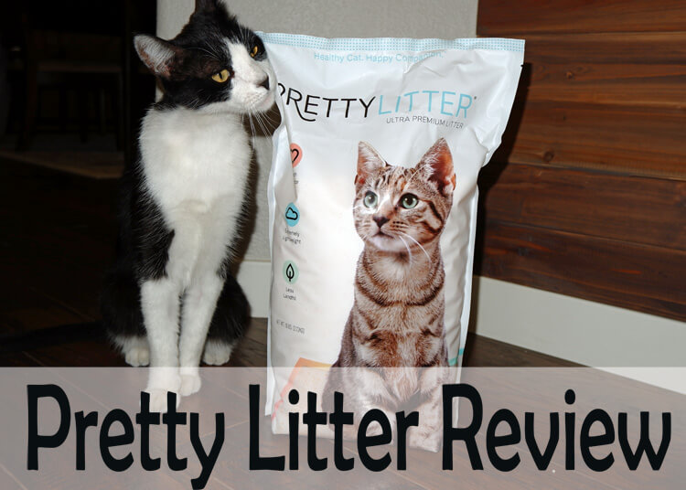 prettylitter price