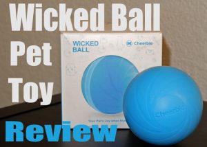 wicked ball cat review