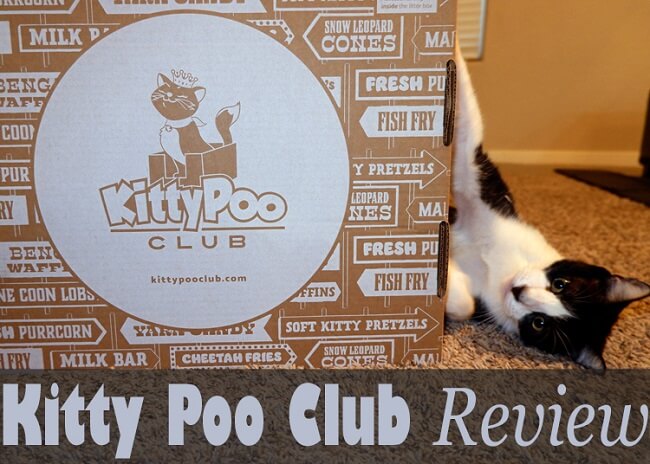 kitty poo club