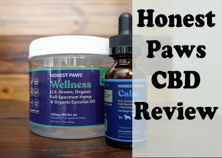 Honest Paws CBD Review