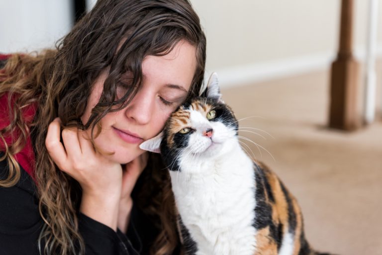cat headbutts a young woman