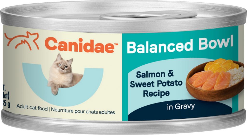canidae kitten food